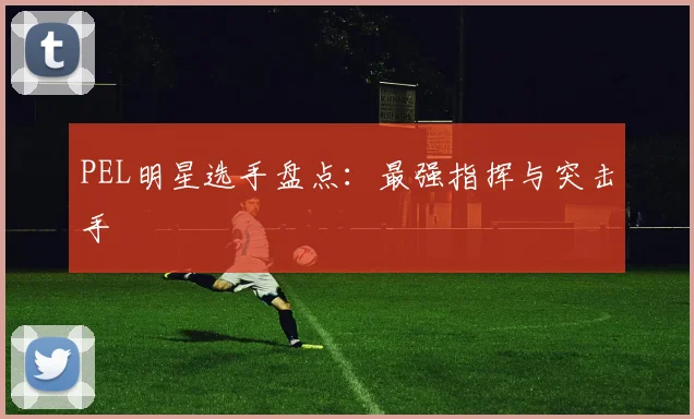 PEL明星选手盘点：最强指挥与突击手