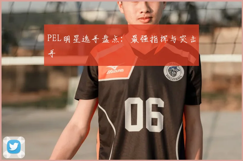 PEL明星选手盘点：最强指挥与突击手