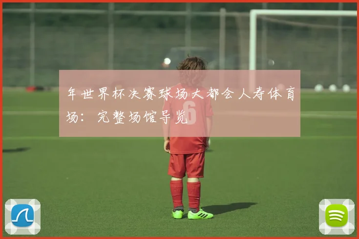 年世界杯决赛球场大都会人寿体育场：完整场馆导览