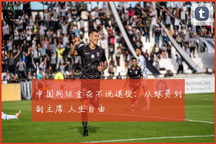 中国网坛金花不说退役：从球员到副主席 人生自由
