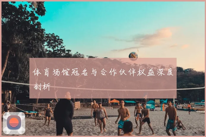 体育场馆冠名与合作伙伴权益深度剖析