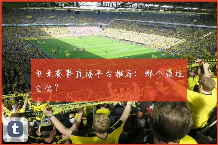电竞赛事直播平台推荐：哪个最适合你？
