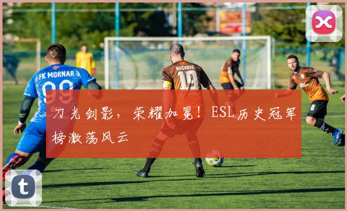 刀光剑影,荣耀加冕!ESL历史冠军榜激荡风云