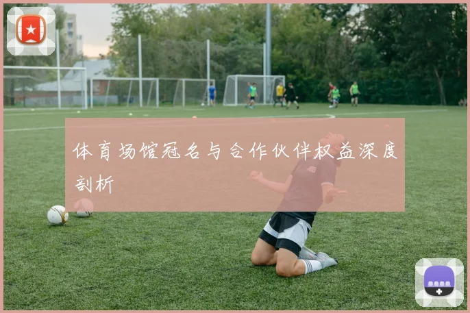 体育场馆冠名与合作伙伴权益深度剖析
